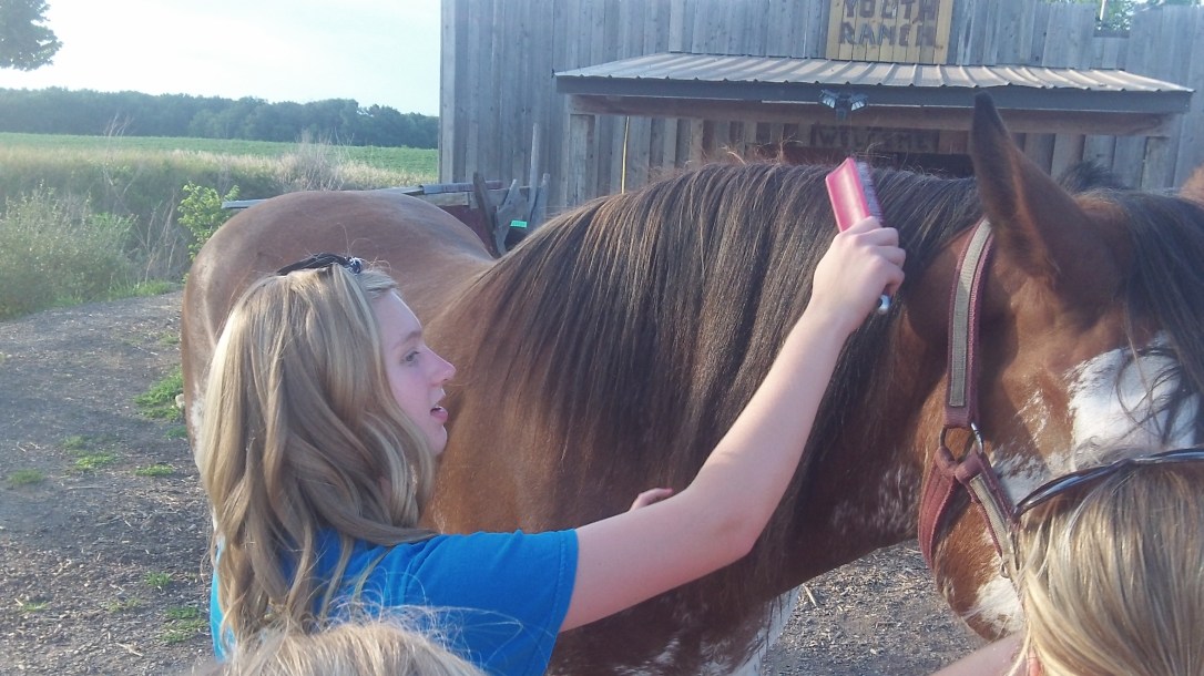 Kelsi brushing Thunder