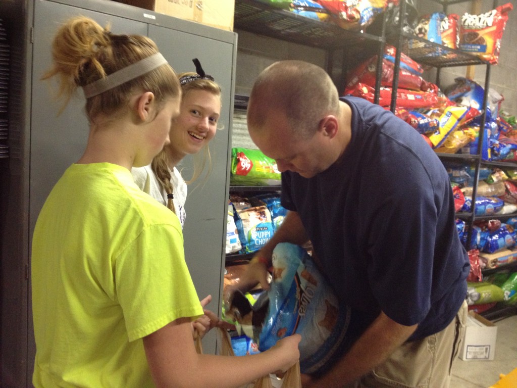 Impact 52 sorts cat food