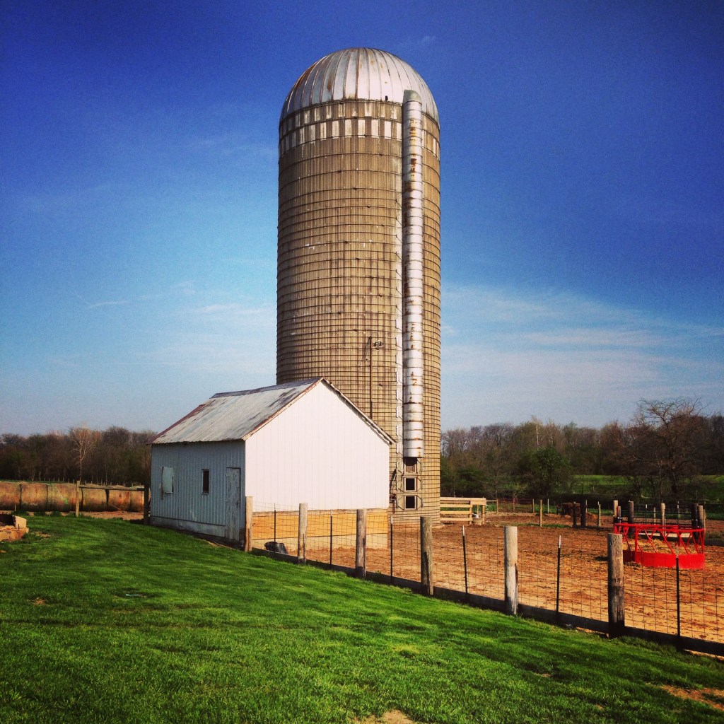 Impact 52 on the farm