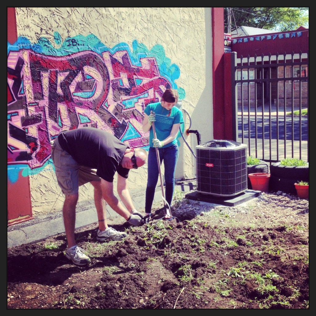 Impact 52 and Wunderkammer